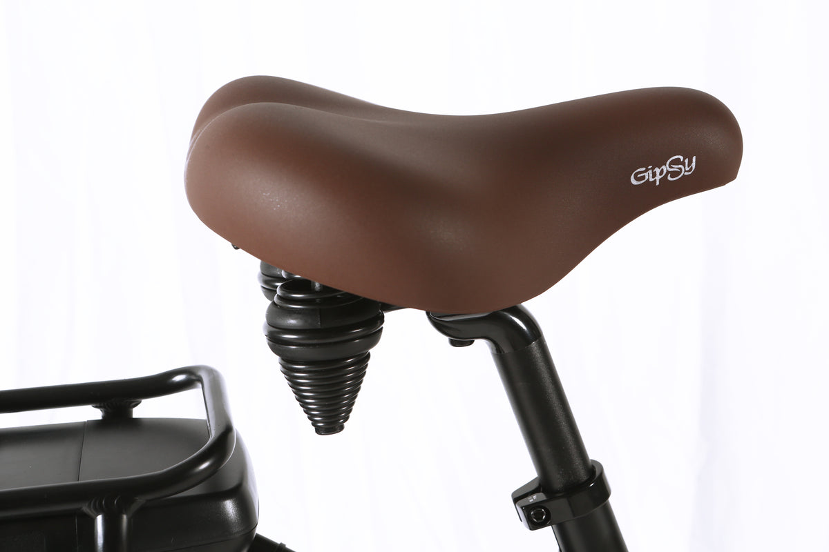Raaks Hudson E-Bike Transportfahrrad Praktisch, Komfortabel und Zuverlässig