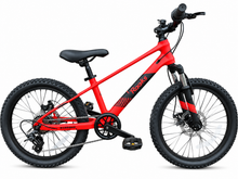 Raaks Element MTB Mountainbike 20 Inch 7 Versnellingen