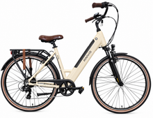 Raaks Eton E-Bike für Damen heckmotor & Shimano 7-Gang