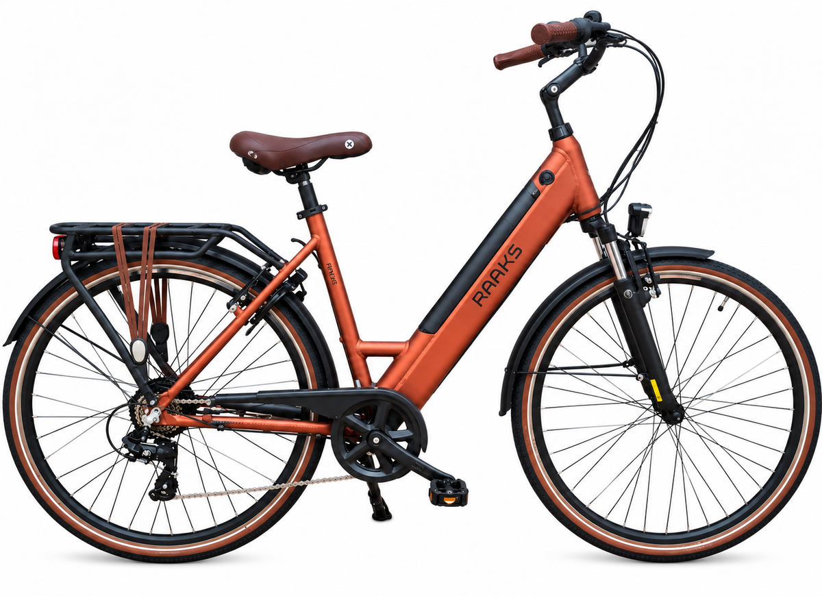 Raaks Eton Electric Ladies’ Bike Rear Motor & Shimano 7-Speed