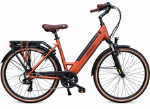Raaks Eton Electric Ladies’ Bike Rear Motor & Shimano 7-Speed