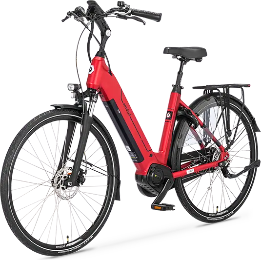 Amslod Milton E-MV-540 E-Bike für Damen Komfortabel, Leistungsstark und Hochwertig